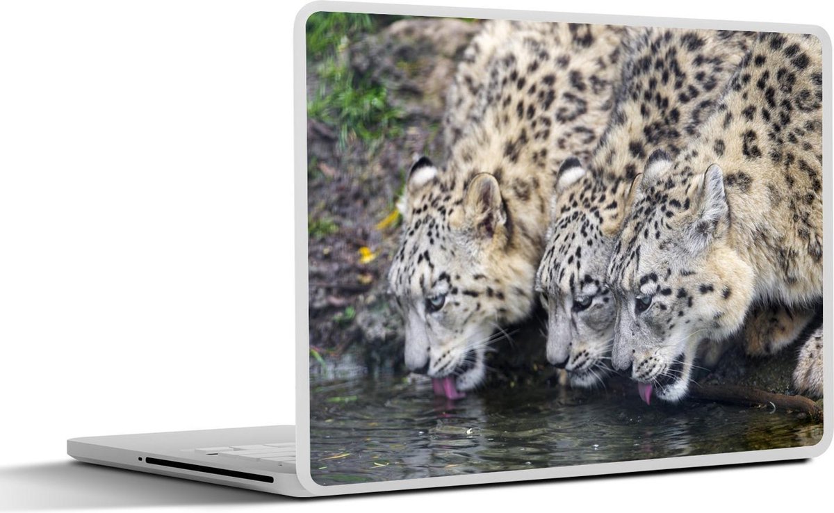 Afbeelding van product SleevesAndCases  Laptop sticker - 15.6 inch - Sneeuwluipaard - Water - Zwart