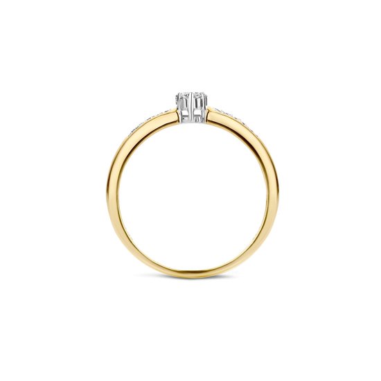 Blush Ring 1625BDI/54 14k Geelgoud 0,12crt G SI Briljant geslepen Diamant Maat 54