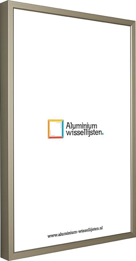 Polijsten Weggegooid medeleerling Aluminium Wissellijst 60 x 60 Mat Licht Brons - Ontspiegeld Glas -  Professional | bol.com