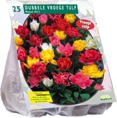 Plantenwinkel Tulipa Dubbel Mix tulpen bloembollen per 25 stuks