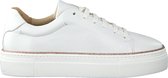 Roberto d'Angelo Fermo Lage sneakers - Leren Sneaker - Dames - Wit - Maat 41