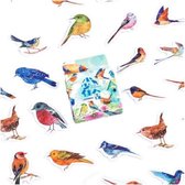 46 Stickers Vogels - Fel Gekleurde, Vrolijke Vogel Stickers - E021 - Voor Scrapbook Of Bullet Journal - Stickers Voor Volwassenen En Kinderen - Agenda Stickers - Decoratie Stickers