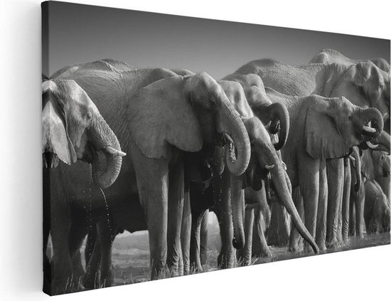 Artaza - Peinture sur toile - Groupe d'éléphants au bord de l' Water - Zwart Wit - 100 x 50 - Groot - Photo sur toile - Impression sur toile