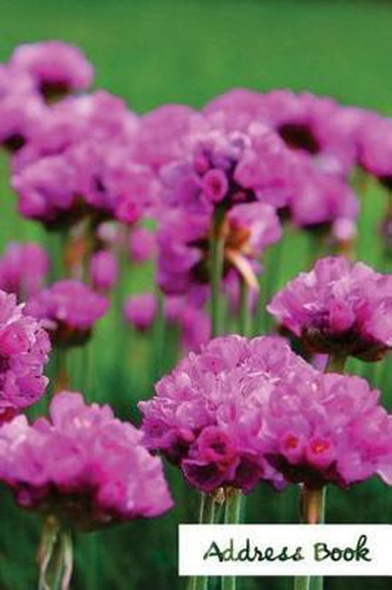 Address Book Flower Edition. Address Book., Blank Book Store