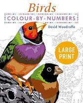 Arcturus Large Print Colour by Numbers Collection- Large Print Colour by Numbers Birds