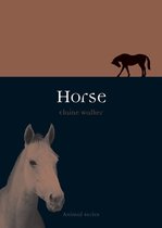 Animal - Horse