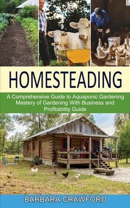 Homesteading - cover