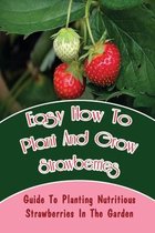 Easy How-To Plant And Grow Strawberries: Guide To Planting Nutritious Strawberries In The Garden