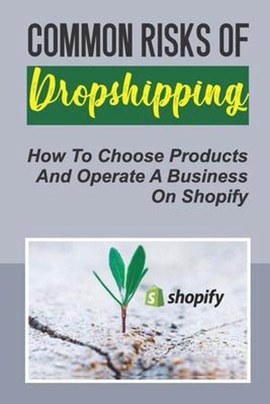 Common Risks Of Dropshipping - cover