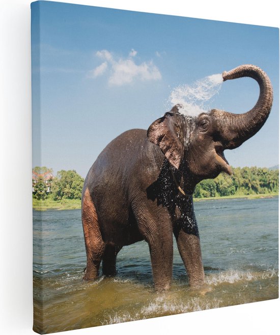 Artaza - Peinture Sur Toile - Éléphant Heureux Dans L' Water - 70x70 - Photo Sur Toile - Impression Sur Toile