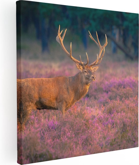 Zijaanzicht van een vierkant canvas van een hert in een paars heideveld op een witte achtergrond.