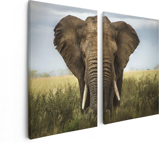 Artaza Canvas Schilderij Tweeluik Olifant In Het Wild - Kleur - 80x60 - Foto Op Canvas - Canvas Print