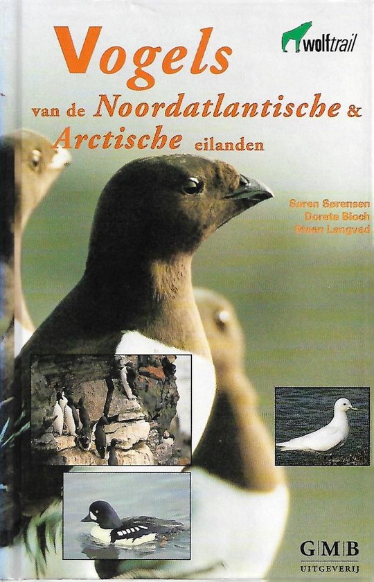 Vogels van de noordatlantische en arctische eilanden