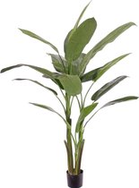 Heliconia kunstplant 175 cm met drie stammen DELUXE | Strelitzia