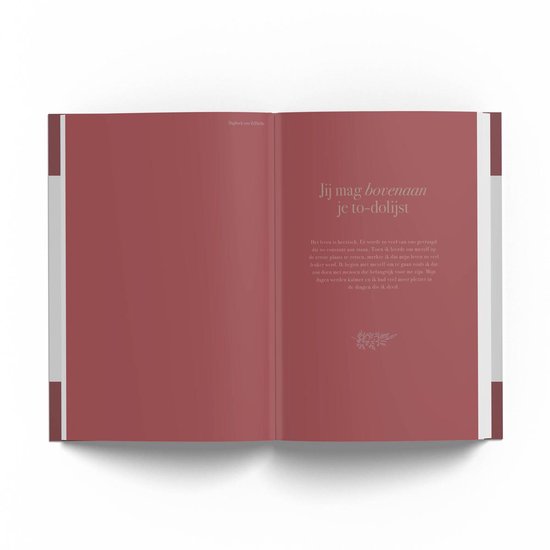 Open dagboek 'Dagboek voor Zelfliefde' met quotes en tekstblokken.