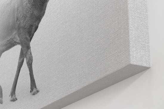 Artaza - Peinture sur toile - Cerf - Zwart Wit - 80 x 120 - Groot - Photo sur toile - Impression sur toile