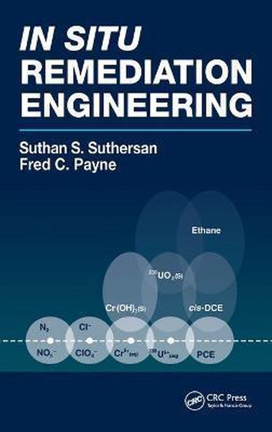 In Situ Remediation Engineering - cover