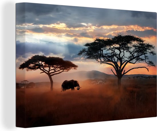 Cadre photo avec affiche - Animaux - Éléphant - Lion - 60x40 cm - Cadre  pour affiche | bol