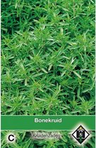 Van Hemert Zaden - Bonenkruid Eenjarig, Zomerbonenkruid (Satureja hortensis)