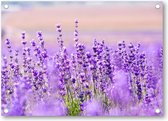 Paars Lavendel in Lavendelveld - Tuinposter 90x60 - Wanddecoratie - Bloemen - Natuur