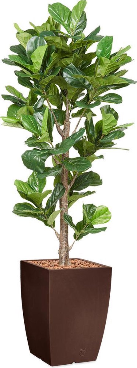 HTT Decorations HTT - Kunstplant Ficus Lyrata in Genesis vierkant bruin H230 cm Groen