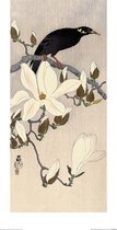 Poster - Ohara Koson Myna On Magnolia Branch - 60 X 30 Cm - Multicolor