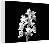 Canvas schilderij 160x120 cm - Wanddecoratie Een witte orchidee tegen een zwarte achtergrond - zwart wit - Muurdecoratie woonkamer - Slaapkamer decoratie - Kamer accessoires - Schilderijen