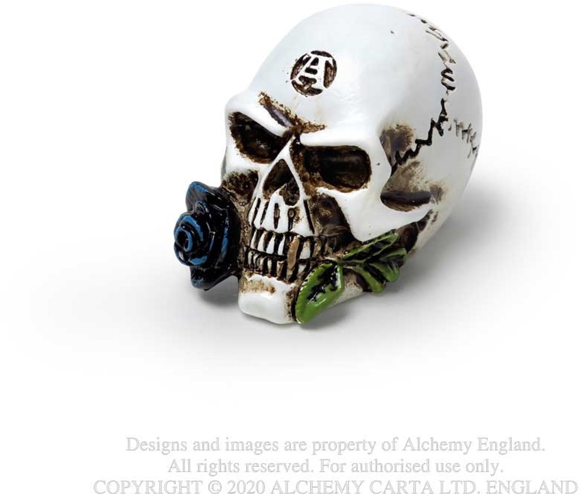 Alchemy - Alchemist Skull Beeld/figuur - Creme
