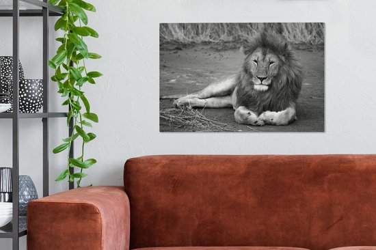 Tableau sur toile Lion couché en Afrique - noir et blanc - 60x40 cm - Décoration murale