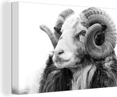 Tableau sur toile Moutons avec cornes - noir et blanc - 60x40 cm - Décoration murale