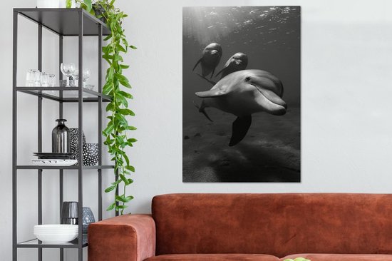 Tableau sur toile Photo sous-marine de trois dauphins - noir et blanc - 80x120 cm - Décoration murale