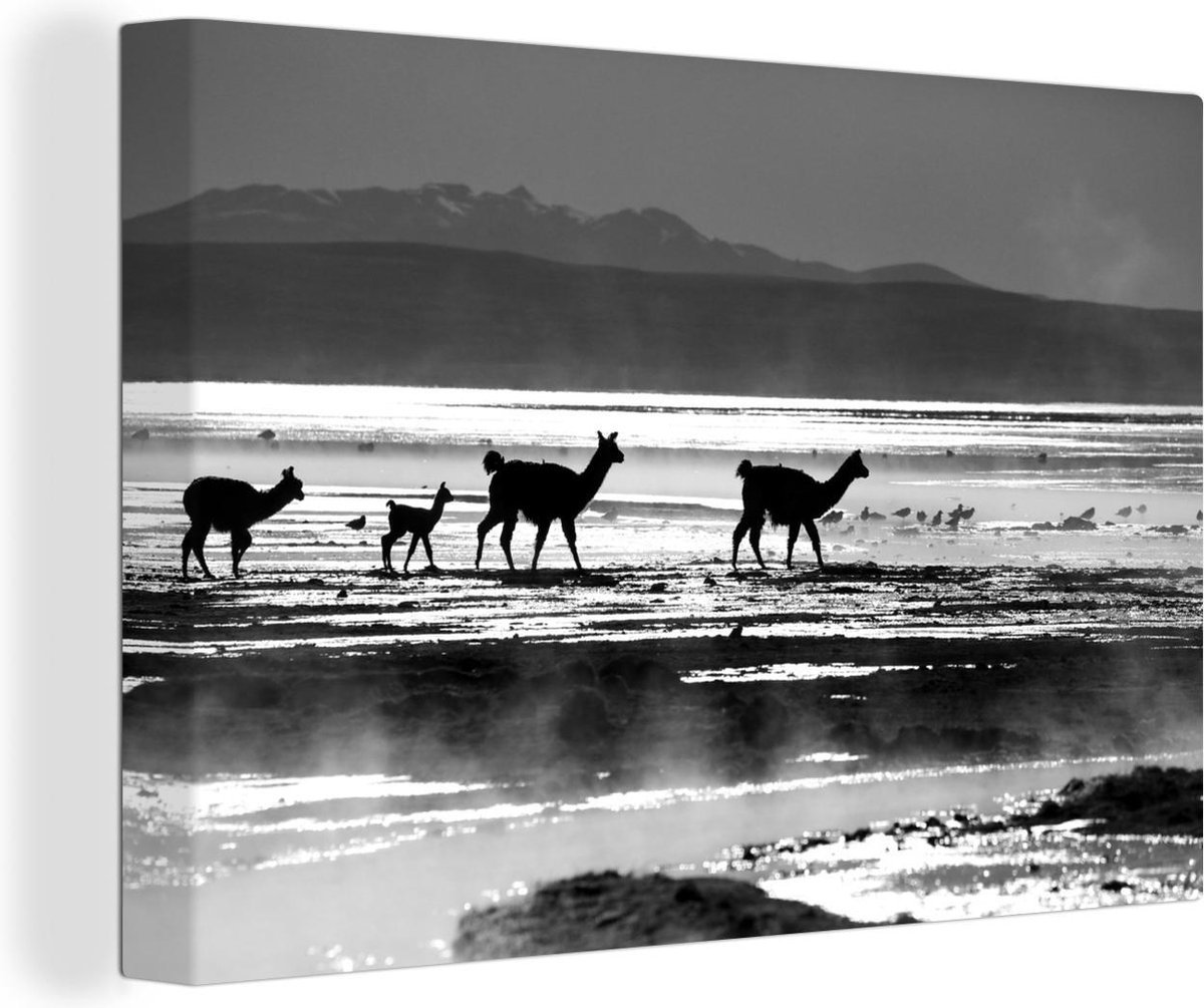 Canvas Schilderij Alpaca's bij warmwaterbron - zwart wit - 30x20 cm - Wanddecoratie