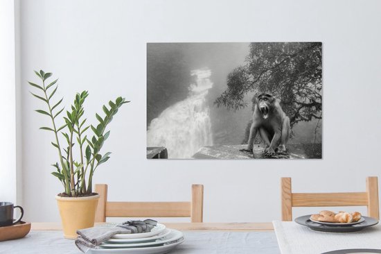 Tableau sur toile Singe qui crie devant la cascade - noir et blanc - 90x60 cm - Art Décoration murale