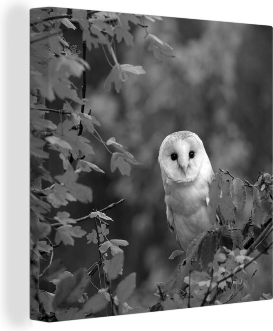 Toile Peinture Hibou sur une branche - noir et blanc - 50x50 cm - Décoration murale