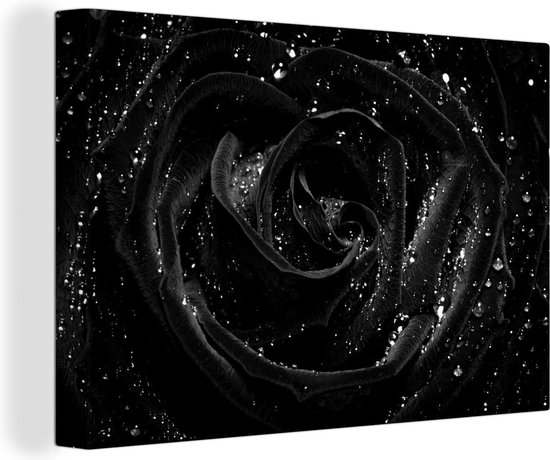 Canvas Schilderij Bijzondere roos met waterdruppels - zwart wit - 120x80 cm - Wanddecoratie