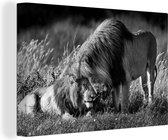 Canvas Schilderij Knuffelende leeuwen - zwart wit - 120x80 cm - Wanddecoratie