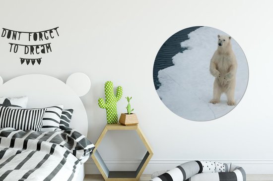 Cercle mural - Plastique - Ours polaire - Glace - Water - ⌀ 90 cm - Cercle mural