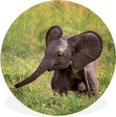 WallCircle - Wall Circle - Wall Circle Indoor - Éléphant - Herbe - Animaux - 60x60 cm - Décoration murale - Peintures Ronds