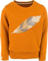 Stones and bones Stones & Bones Meisjes Sweater Violeta Feather Camel