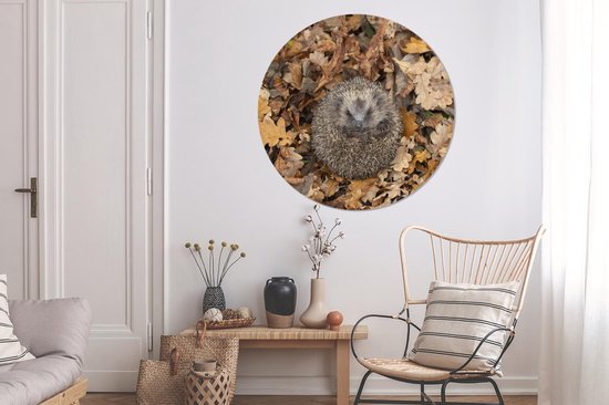 Cercle de papier peint - Hérisson - Automne - Feuilles - ⌀ 120 cm - Cercle mural - Autocollant - Sticker papier peint XXL