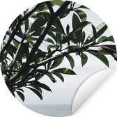 WallCircle - Muurstickers - Behangcirkel - Boom - Tak - Zee - 100x100 cm - Muurcirkel - Zelfklevend - Ronde Behangsticker XXL