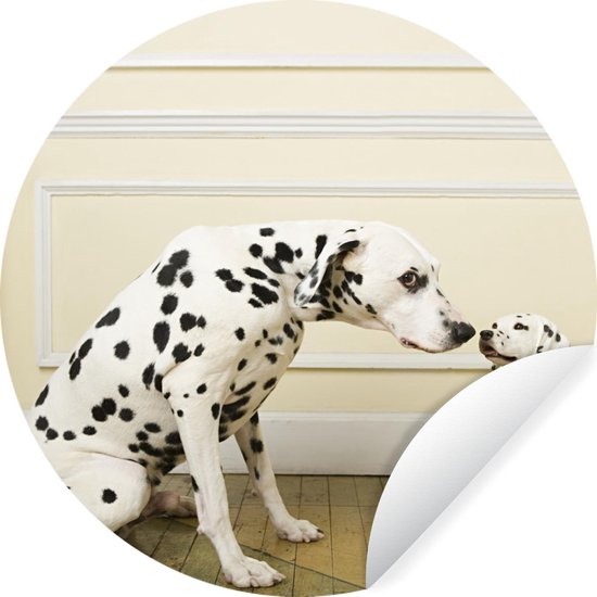 WallCircle - Stickers muraux - Cercle de papier peint - Dalmatien - Chiot - Chien - 140x140 cm - Cercle mural - Autocollant - Autocollant de papier peint rond