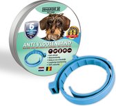 Vlooienband voor honden | lichtblauw | 100% natuurlijk | Geen pesticiden | Vlooien en teken | Veilig voor mens en dier | Milieuvriendelijk en effectief