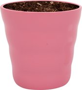 WL Plants - Bloempot Voor Binnen - Roze Keramieke Bloempot - Luxe Bloempotten voor Binnen - Bloempotten voor Buiten - Bloembak & Plantenpot - Hoogte 12,5 cm - Keramisch met Hoogwaa
