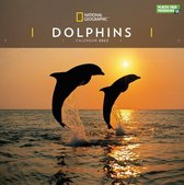 Dolphins National Geographic Kalender 2022
