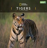 Tigers National Geographic Kalender 2022