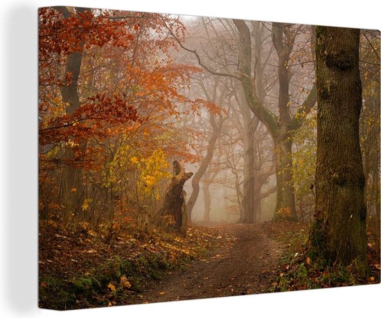 Wandkleed Old Forest van Mondiart te koop @ . Dit doek voor aan de muur is met een roede een mooie muurvuller