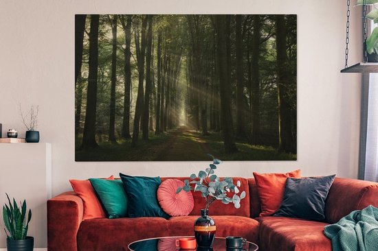 Canvas schilderij 150x100 cm - Wanddecoratie Bospad - Zonnestralen - Horizon - Bomen - Bos - Muurdecoratie woonkamer - Slaapkamer decoratie - Kamer accessoires - Schilderijen op canvas
