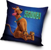 kussen Scooby Doo junior 40 x 40 cm katoen