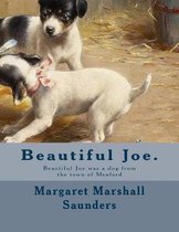 Beautiful Joe.